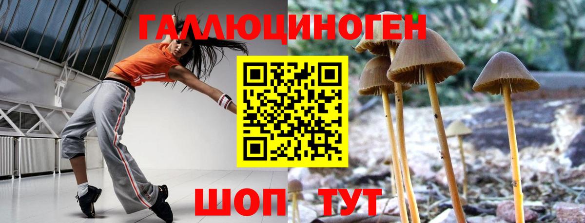 Псилоцибиновые грибы Psilocybine cubensis  Вход с VPN  Новоалтайск 
